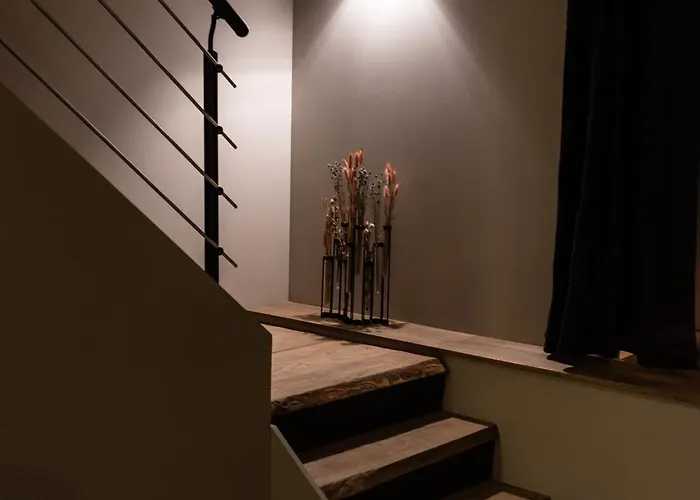 Lefferves Cence Flines-les-Raches